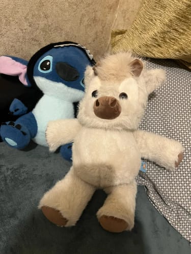 More Than Just A Plushie